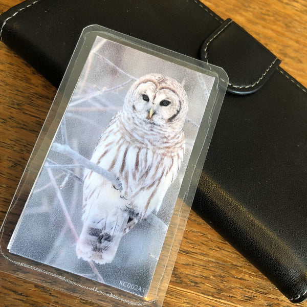 Shungite + CSilver Mobile Phone KiCard ~ EMF Protection ~ OWL