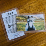 Shungite + CSilver Mobile Phone KiCard ~ EMF Protection ~ HORSE#2