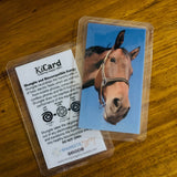 Shungite + CSilver Mobile Phone KiCard ~ EMF Protection ~ HORSE#3