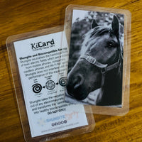 Shungite + CSilver Mobile Phone KiCard ~ EMF Protection ~ HORSE#4