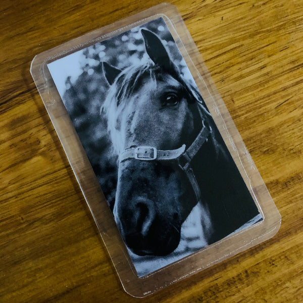 Shungite + CSilver Mobile Phone KiCard ~ EMF Protection ~ HORSE#4