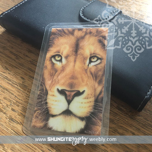 Shungite + CSilver Mobile Phone KiCard ~ EMF Protection ~ LION
